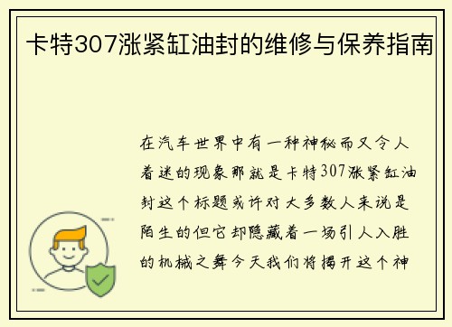 卡特307涨紧缸油封的维修与保养指南