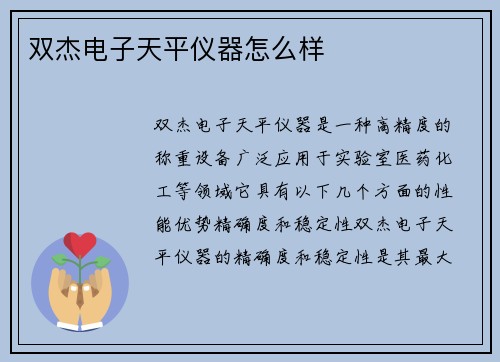 双杰电子天平仪器怎么样